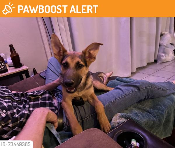 Found/Stray Male Dog last seen 18th and South Intake, Riverside County, CA 92225