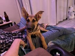 Found/Stray Male Dog last seen 18th and South Intake, Riverside County, CA 92225