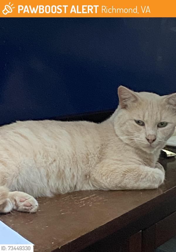 Found/Stray Male Cat last seen Broadrock and Walmsley blvd, Richmond, VA 23224