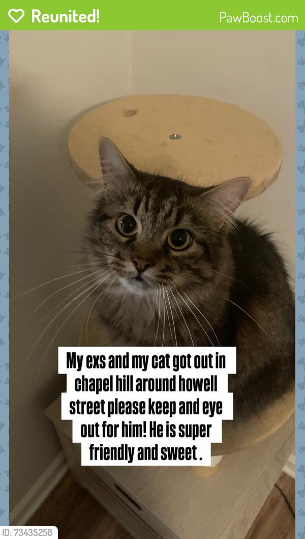 Reunited Male Cat last seen Near howell street, Chapel Hill, NC 27514