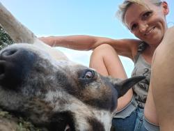 Lost Female Dog last seen Churncreek trail head in redding, Redding, CA 96003