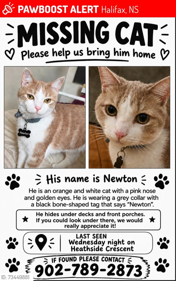 Lost Male Cat last seen Off of parkland drive, Halifax, NS 