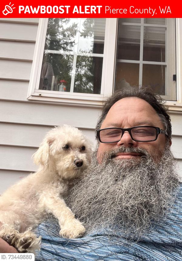 Lost Female Dog last seen 336th and 82nd ave, Pierce County, WA 98580