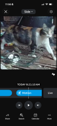 Found/Stray Unknown Cat last seen Ragan Way, Alta Sierra, CA 95949