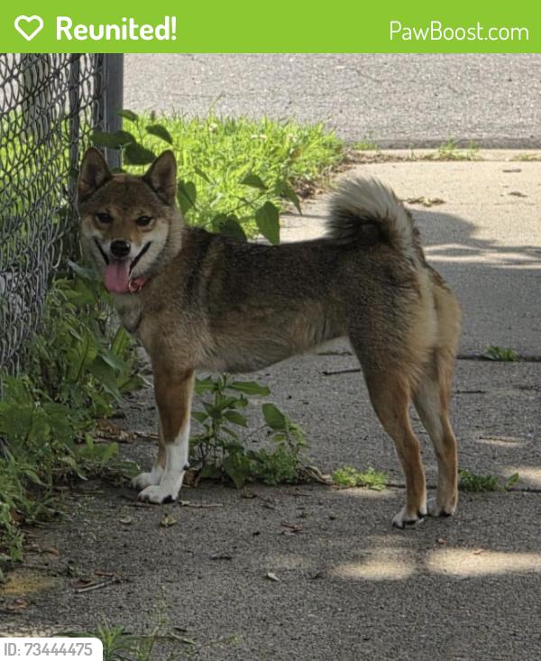 Reunited Female Dog last seen Western Ave N, Maplewood, MN 55117