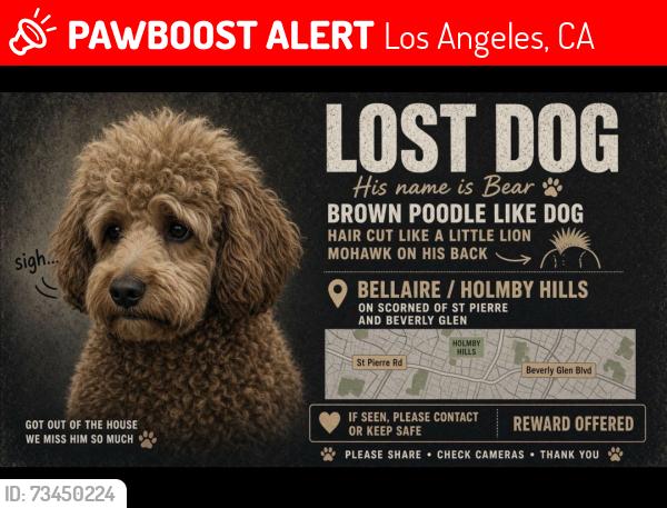 Lost Male Dog last seen Near st Pierre rd, Los Angeles, CA 90077