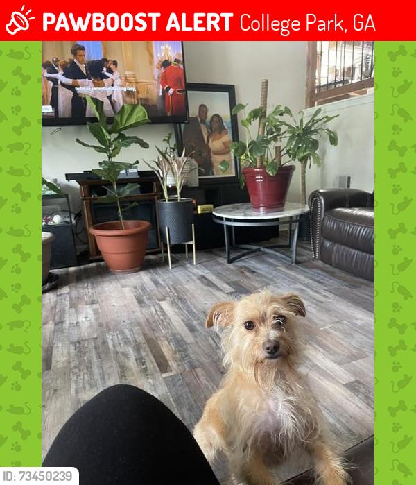 Lost Female Dog last seen Old Fairburn Rd, College Park, GA 30349
