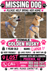 Lost Female Dog last seen Near N 39th dr Phoenix, AZ 85019, Phoenix, AZ 85019