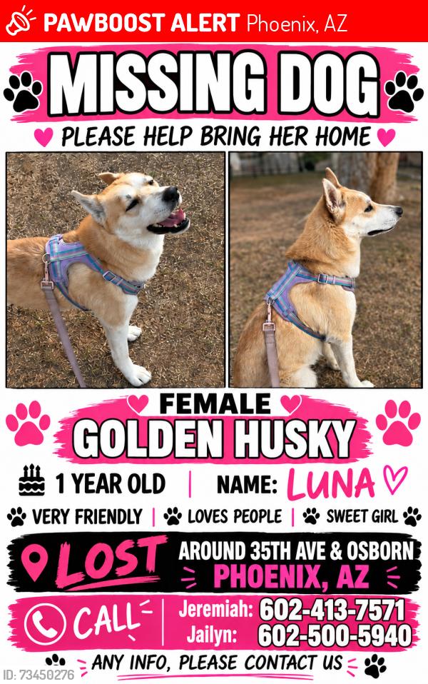 Lost Female Dog last seen Near N 39th dr Phoenix, AZ 85019, Phoenix, AZ 85019