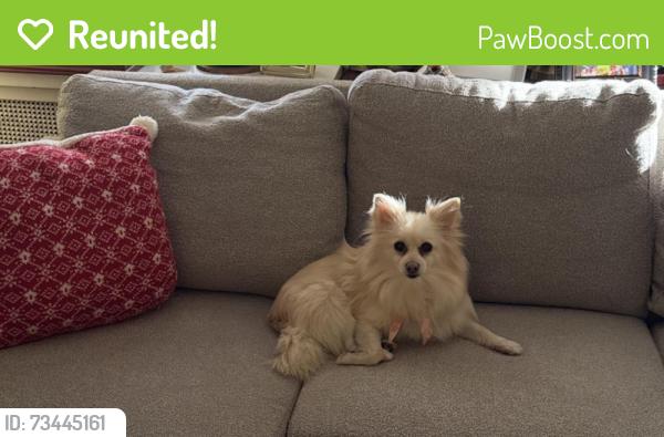 Reunited Female Dog last seen 40th and Keswick, Baltimore, MD 21211