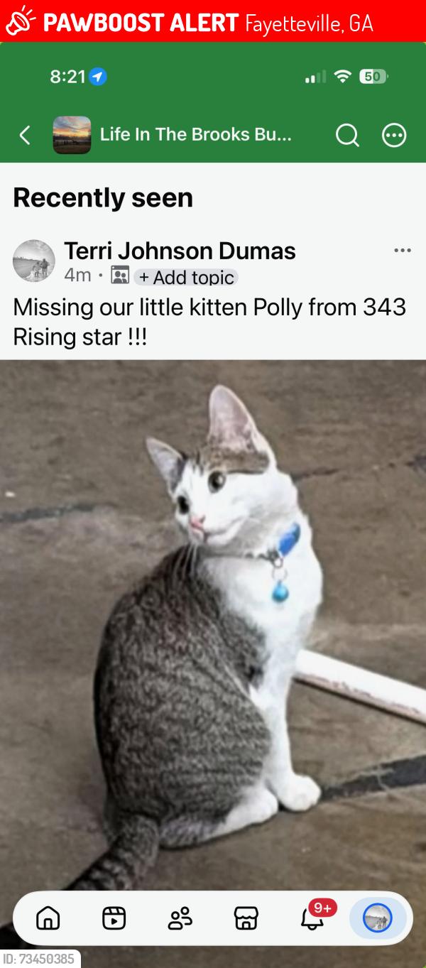 Lost Female Cat last seen Rising Star and huckaby rd, Fayetteville, GA 30215