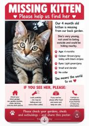 Reunited Female Cat last seen Kenninghall close Sheffield S23WF, South Yorkshire, England 