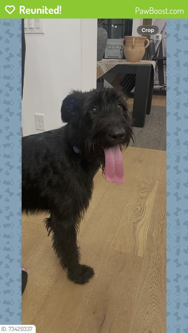 Reunited Male Dog last seen Pickering ponds metro park, Canal Winchester, OH 43110