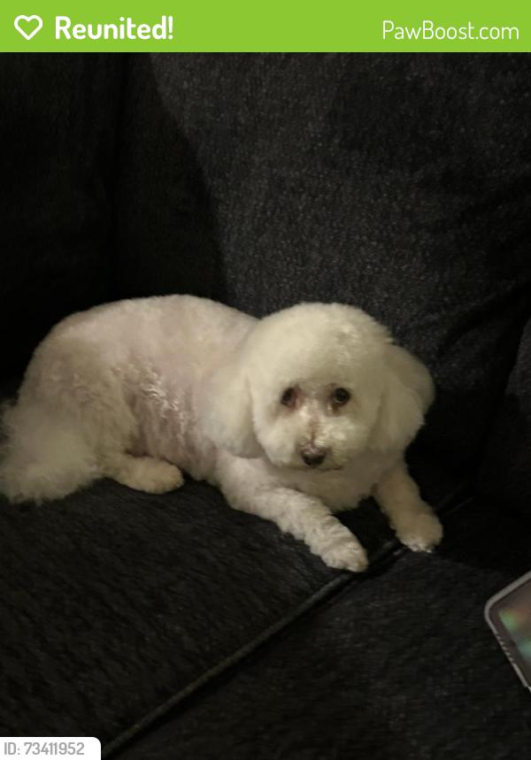 Reunited Female Dog last seen Near Camden st, Fremont, CA 94536