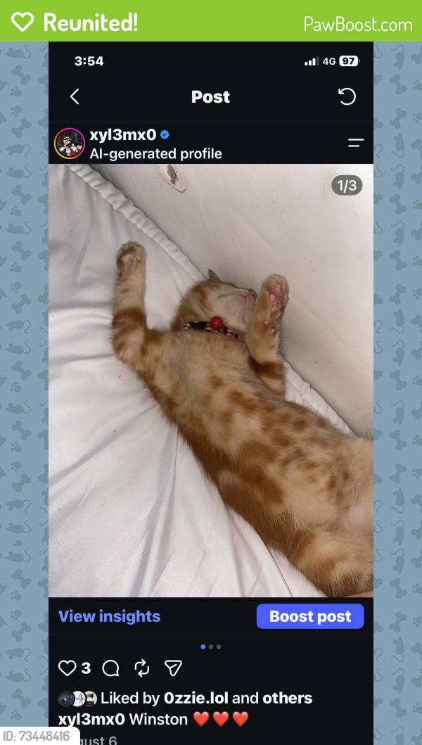 Reunited Male Cat last seen Burnley road, Luddenden Foot, England HX2 6HN
