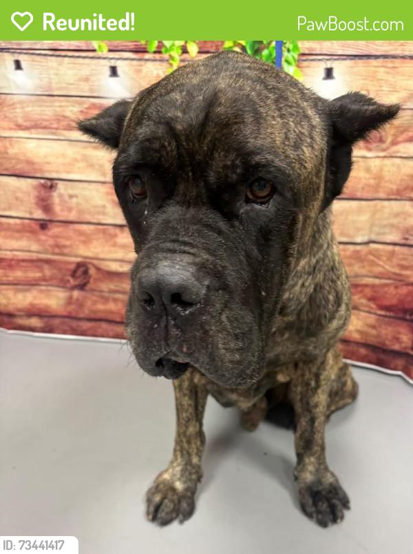 Reunited Unknown Dog last seen Located at Rockdale County Animal Service, 1506 Rockbridge Road, Conyers, GA 30012, Conyers, GA 30012