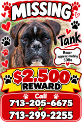 Reunited Male Dog last seen Near Brompton Place Drive, Houston, TX 77083