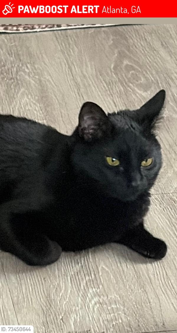 Lost Female Cat last seen apmt, Atlanta, GA 30339