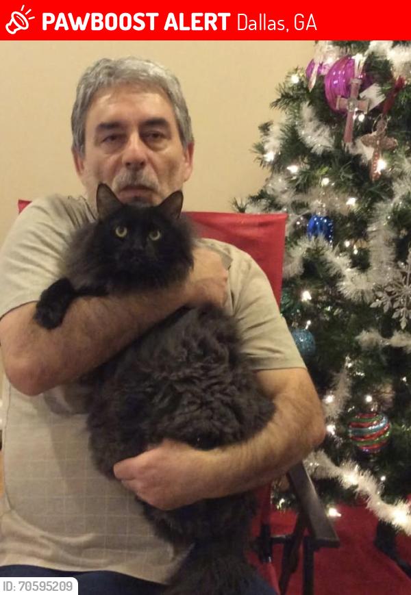 Lost Male Cat last seen Whitney Ct, Dallas GA, Dallas, GA 30157