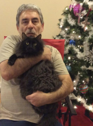 Lost Male Cat last seen Whitney Ct, Dallas GA, Dallas, GA 30157