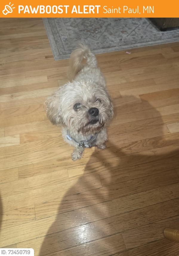 Found/Stray Male Dog last seen Ruth and Minnehaha, Saint Paul, MN 55119