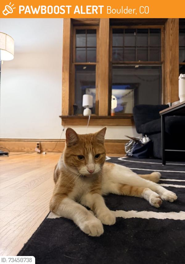 Found/Stray Unknown Cat last seen 11th Street, Boulder, CO 80302