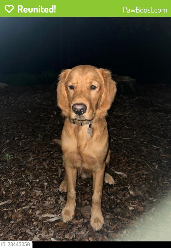 Reunited Male Dog last seen McElroy, Kay road, Judy lane, Fayetteville, GA 30214