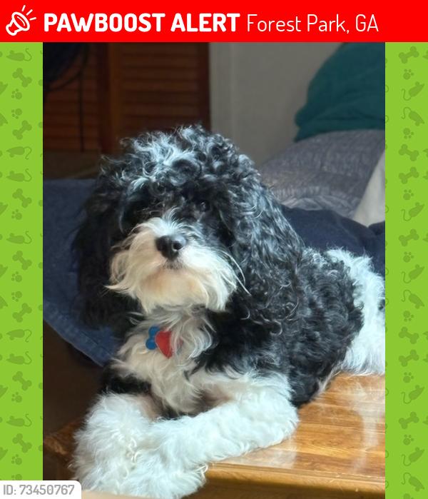 Lost Male Dog last seen joyce dr and pineridge dr in forest park, Ga, Forest Park, GA 30297