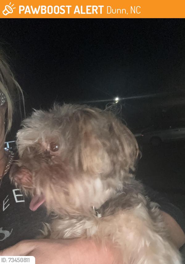 Found/Stray Male Dog last seen Near 107 Westfield dr Dunn, Dunn, NC 28334