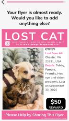 Reunited Female Cat last seen Forest lake rd in craddock subdivision, Chester, VA 23831