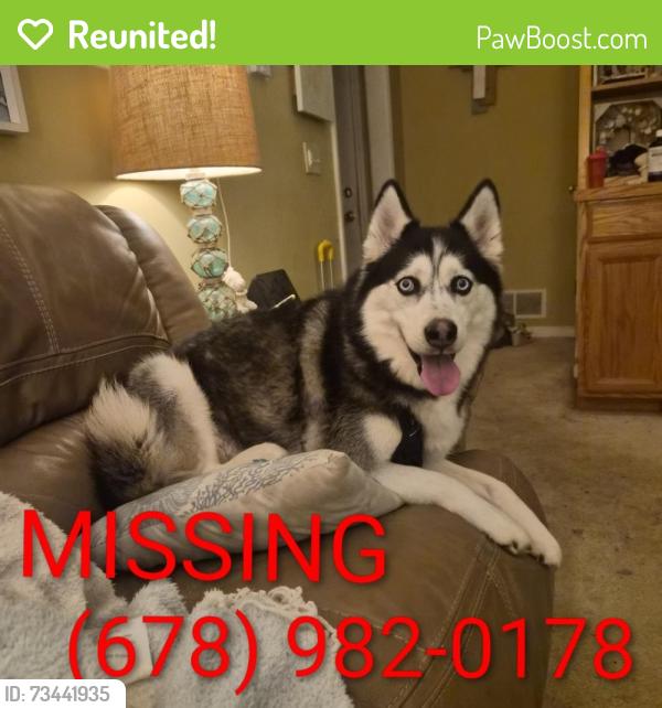 Reunited Female Dog last seen Cagle Rd and Lakeview Dr, near river, Gainesville, GA 30501