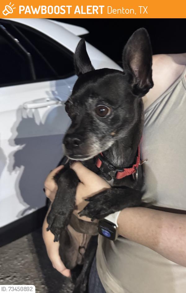 Found/Stray Male Dog last seen Near and 156, Denton, TX 76207