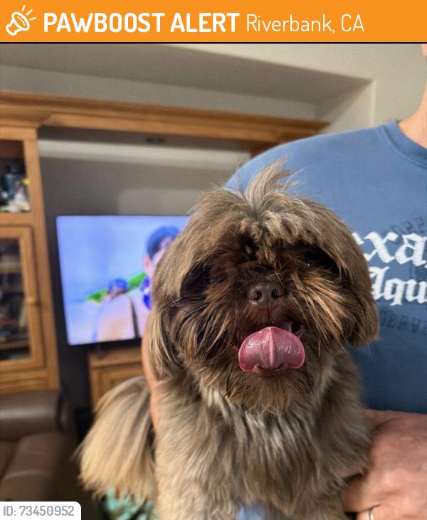 Found/Stray Male Dog last seen Antique Rose and Gallery Dtive, Riverbank, CA 95367
