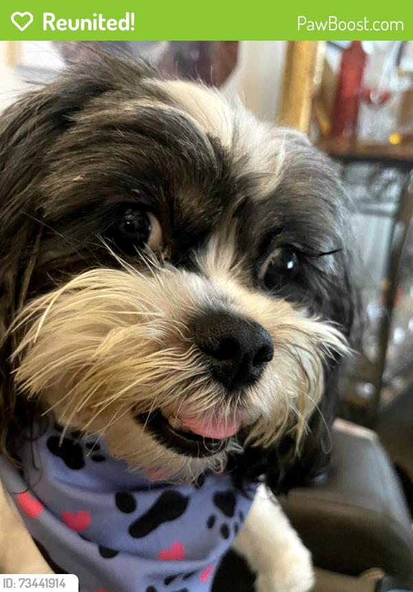 Reunited Female Dog last seen A Street, Pensacola, FL 32501