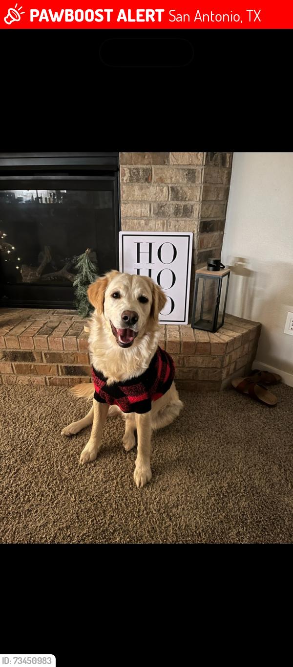 Lost Female Dog last seen Near Talavera Ridge, San Antonio, TX 78257 The Overlook at The Rim apmts, San Antonio, TX 78257