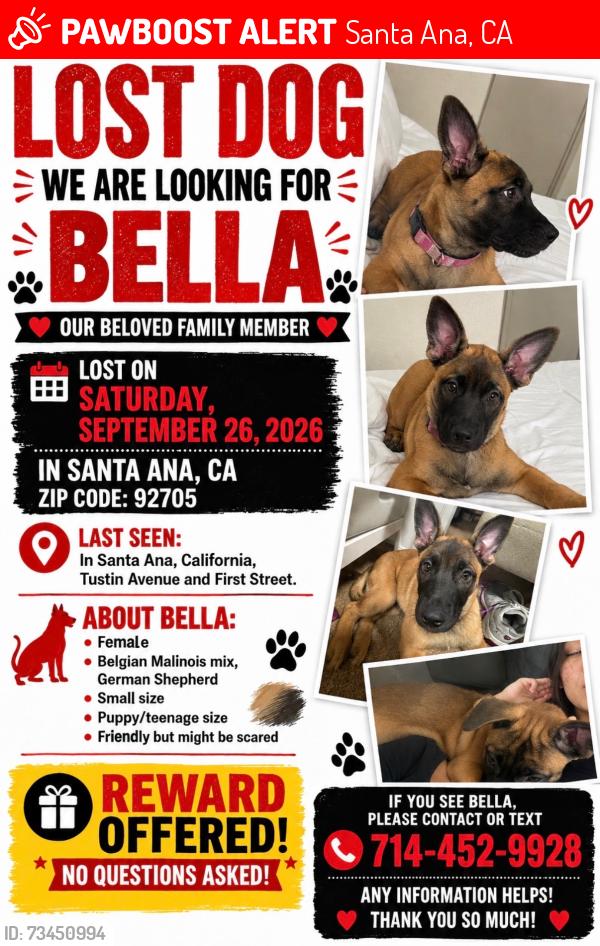 Lost Female Dog last seen By Starbucks, Santa Ana, CA 92705