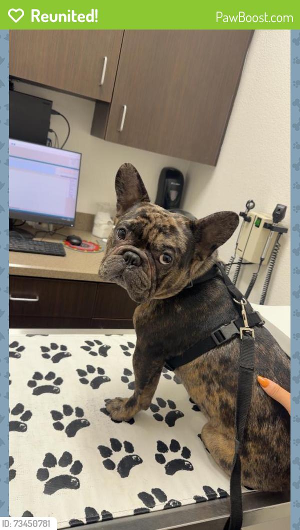 Reunited Male Dog last seen Near Emerald Dr, Vista, CA 92083, USA, Vista, CA 92083