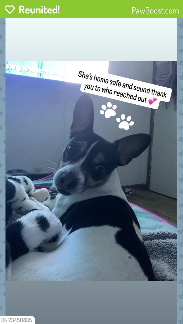 Reunited Female Dog last seen 13th Avenue & Martin Luther King, Sacramento, CA 95820