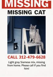 Lost Male Cat last seen New england ave & w george st, Chicago, IL 60634