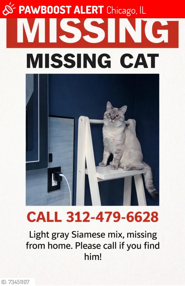 Lost Male Cat last seen New england ave & w george st, Chicago, IL 60634