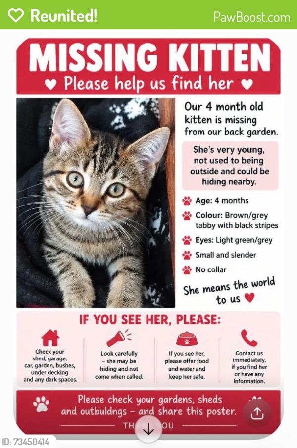 Reunited Female Cat last seen Kenninghall close Sheffield S23WF, South Yorkshire, England 