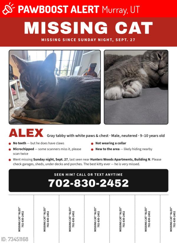 Lost Male Cat last seen Hunter Woods apmts, Murray, UT 84123