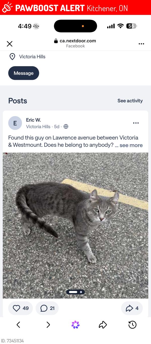 Lost Male Cat last seen Last known whereabouts was someone had taken him in and has yet to resurface, Kitchener, ON 