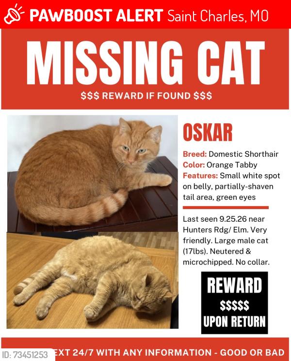 Lost Male Cat last seen Elm street, mockingbird, Saint Charles, MO 63301