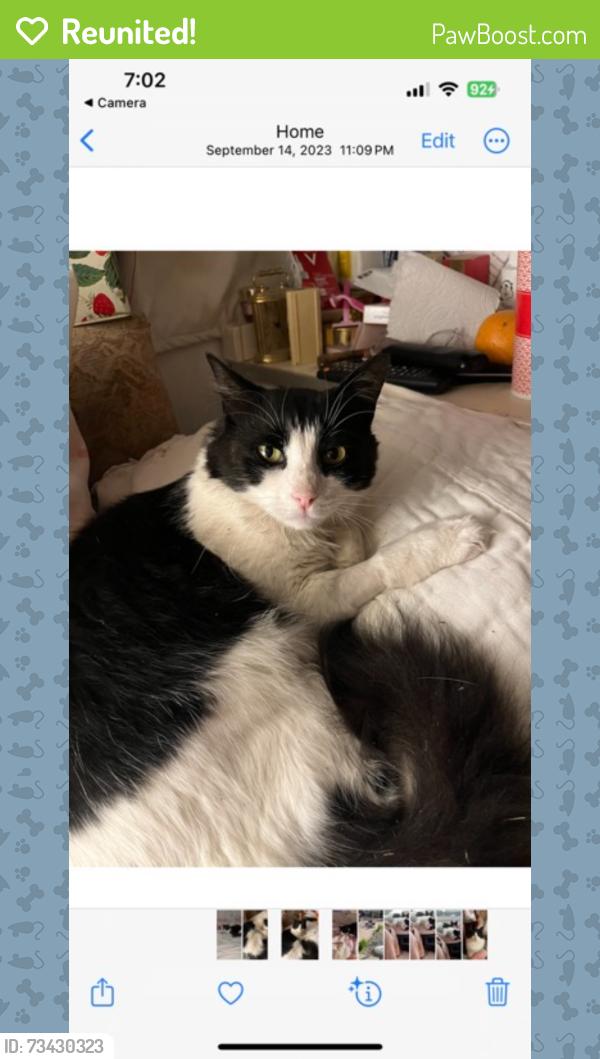 Reunited Male Cat last seen Near Woodlawn Ave, Chula Vista, CA 91911, USA, Chula Vista, CA 91911
