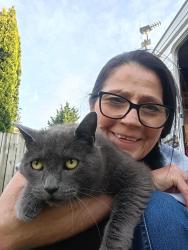 Lost Female Cat last seen 112th Ave E and Valley Ave Puyallup, Puyallup, WA 98372