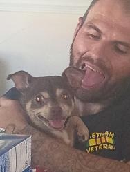 Lost Female Dog last seen union and Brundage to Ohio Dr and E. Brundage to Cottonwood area, Bakersfield, CA 93307