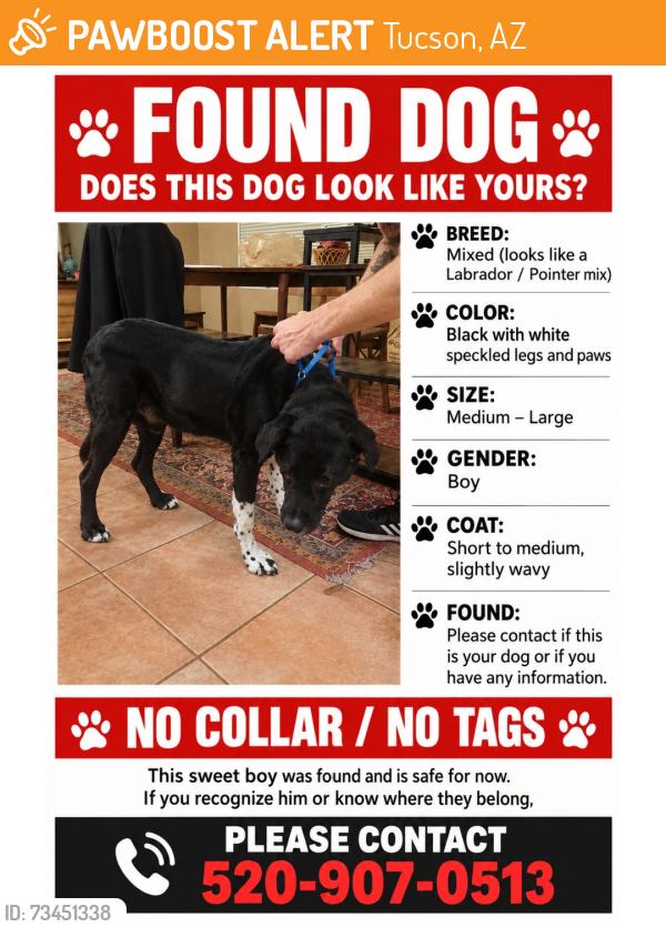 Found/Stray Male Dog last seen Naranja & La Cañada, Tucson, AZ 85737