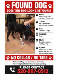Found/Stray Male Dog last seen Naranja & La Cañada, Tucson, AZ 85737