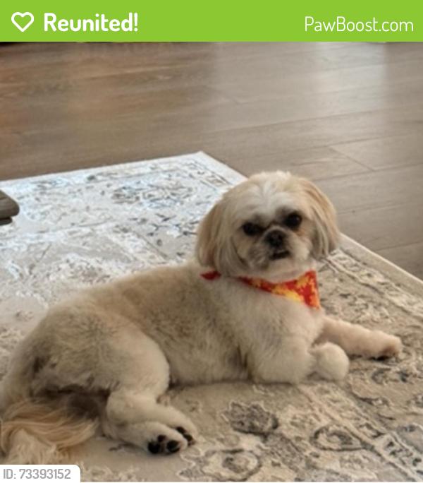 Reunited Female Dog last seen Avery Arbor Ln & Towne lake parkway, Cypress, TX 77433